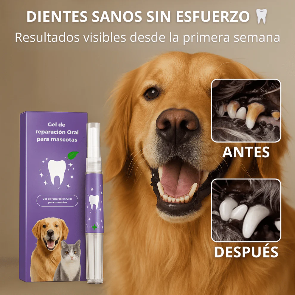 Deja de sufrir: Dientes sanos en 60 segundos